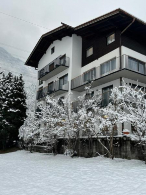 Pension Alpina